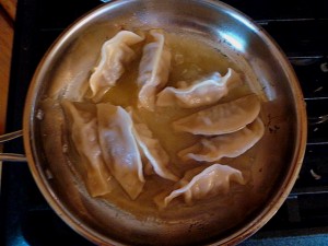 Cooking up the potstickers