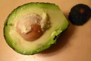 Avocado