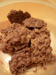 No Bake Fudge Cookies