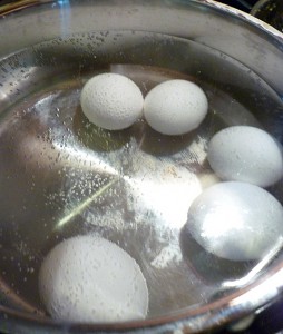 Hard Boiled Eggs