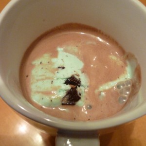 Minty Hot Cocoa Float